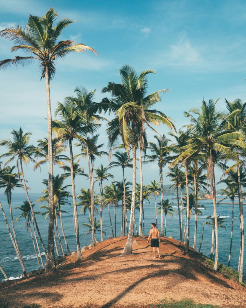 mirissa sri lanaka