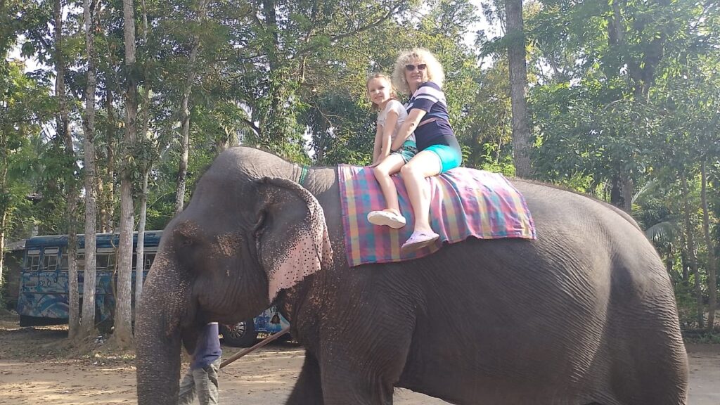 48e21b65-c292-4a3e-a3b8-8a24ca8aace8