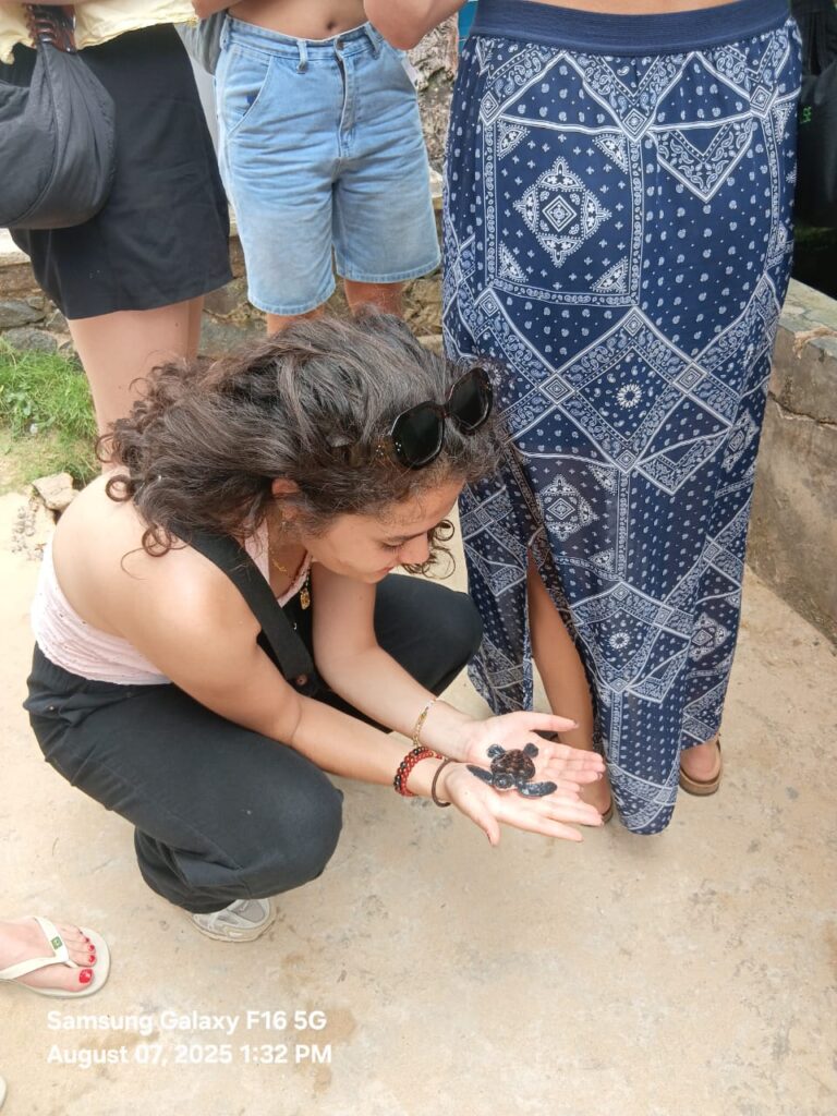 74d697f7-1425-466c-ac91-0fc3c0952ff5