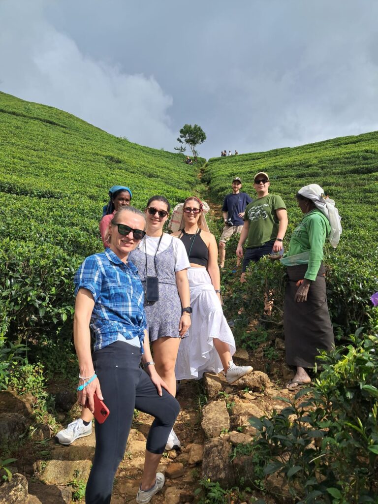 a86157aa-9a82-4f39-880c-8c0735a3d175