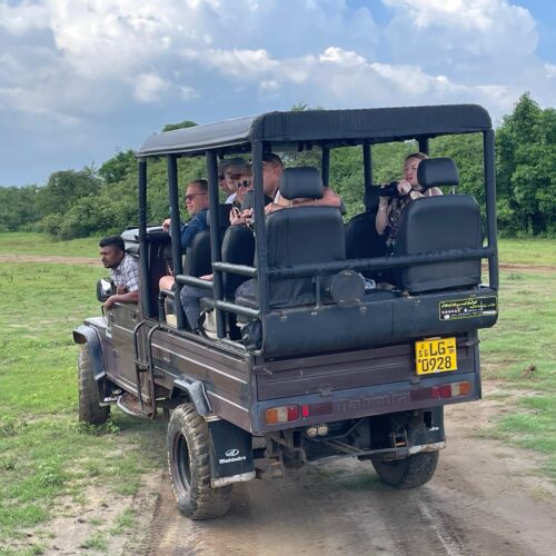 Safari jeep with tourists exploring Minneriya National Park in Sri Lanka during a wildlife safari