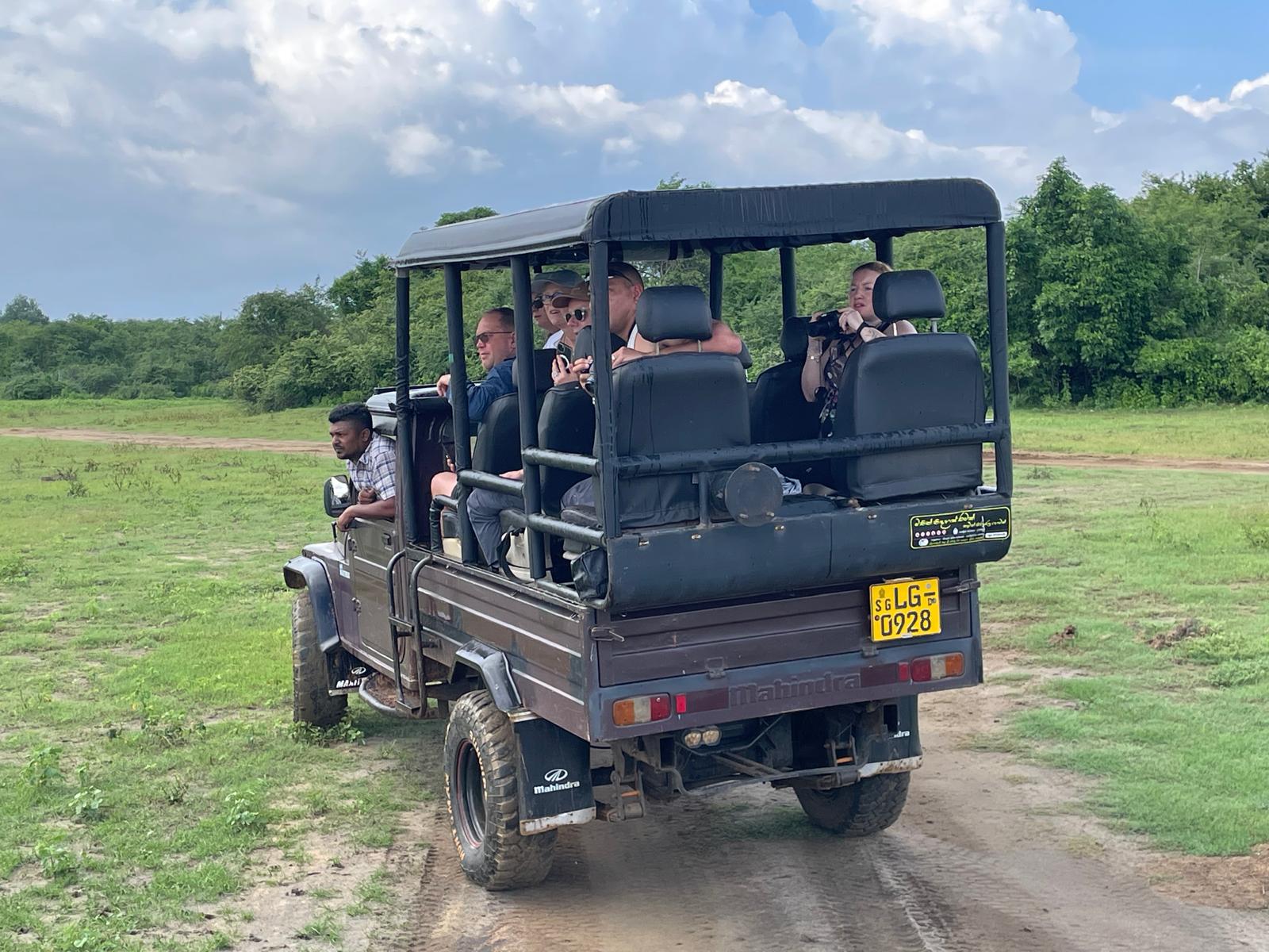 Safari jeep with tourists exploring Minneriya National Park in Sri Lanka during a wildlife safari