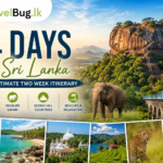 14 Days in Sri Lanka Itinerary travel