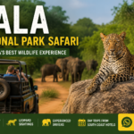 Yala National Park Safari Sri Lanka with private jeep, leopard and elephants wildlife experience