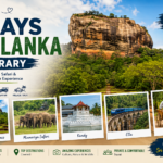 7 Days Sri Lanka Itinerary travel guide featuring Sigiriya Rock Fortress, Minneriya elephant safari, Kandy cultural sites, Ella train journey, and traditional village tour in Sri Lanka